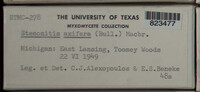 Image Associated With the Occurence